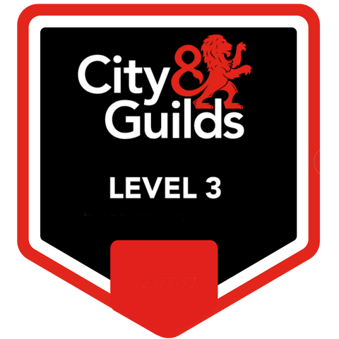 DC-10 Electrical Services logo Swansea electrician Pen-clawdd electrical services Gower Peninsula electricians Swansea County electrical contractors